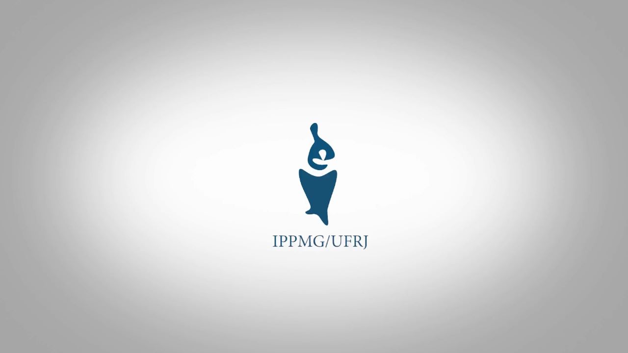 Projetos em desenvolvimento no IPPMG