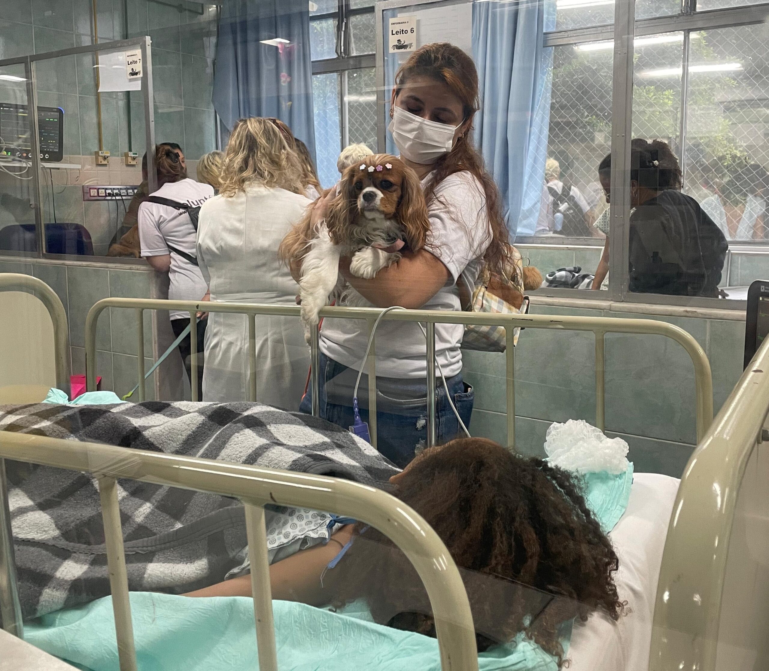 Iniciativa inédita no IPPMG promove visita de pets para as crianças hospitalizadas